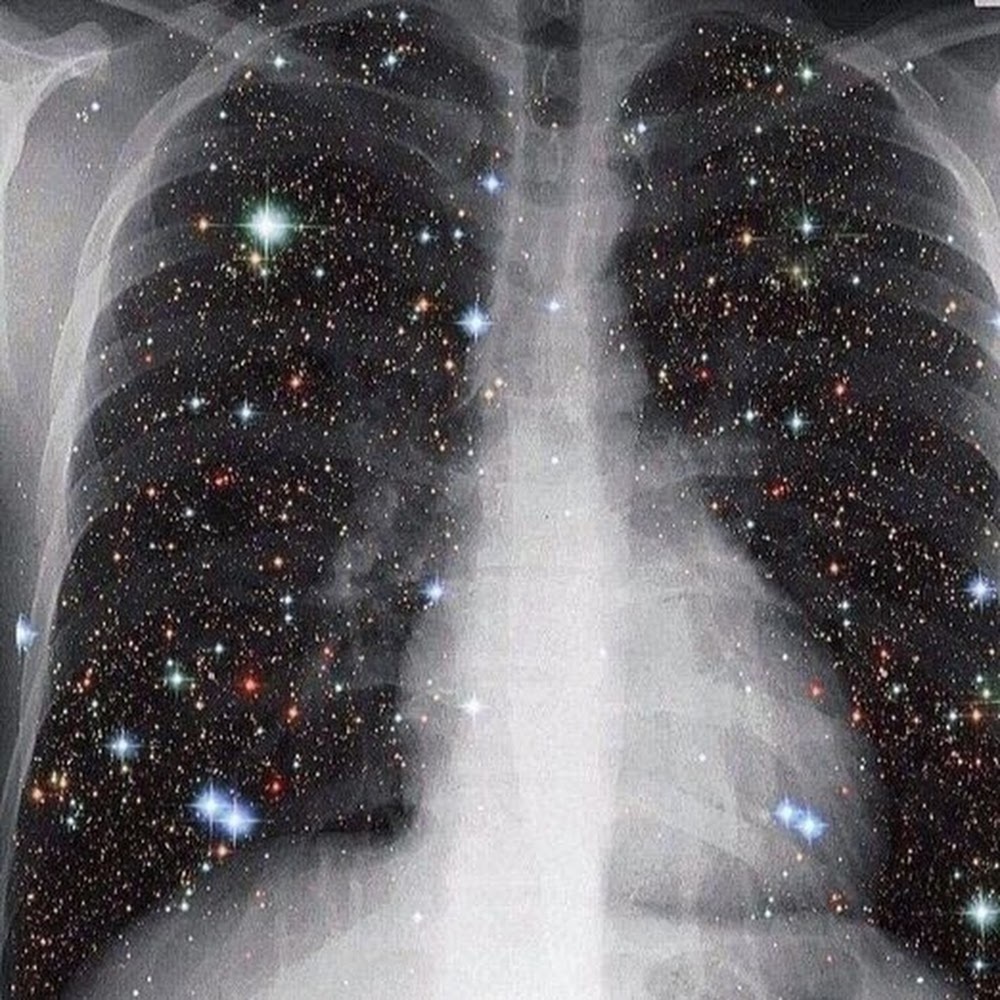 Meet your Posher, Mia